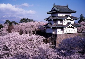Hirosaki Castle the beginning of May