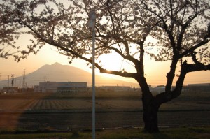Setting sun over Mt. Iwaki. Cherry tree in foreground.
