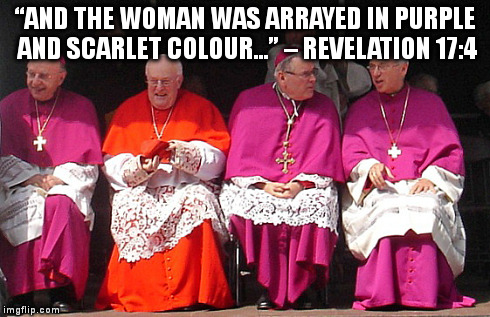 Image result for pope francis with scarlet colors