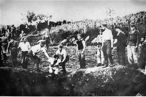 The Vatican Role in the Ustasha Genocide in the Independent State of Croatia