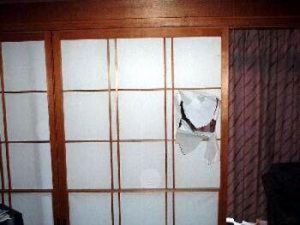 Having Fun Fixing Japanese Paper Doors
