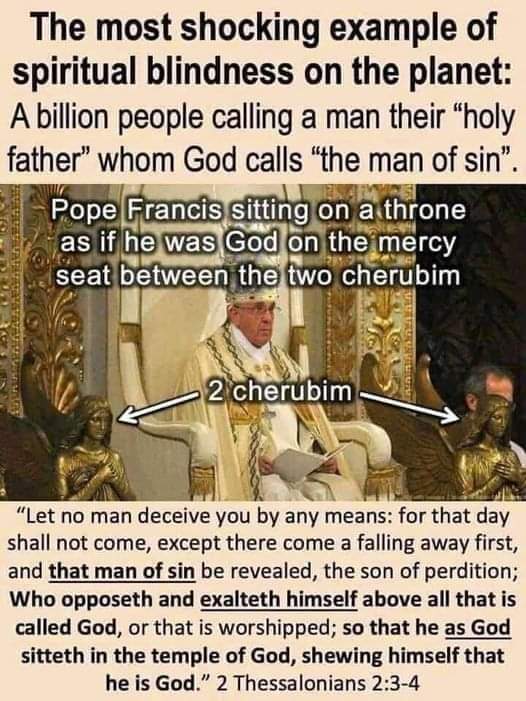 The Antichrist is the office of the Papacy.