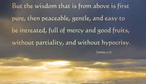James 3:17 the wisdom from above.