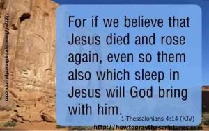The Sower and the Virgin – Sleeping In Jesus The Sower and the Virgin – Sleeping In Jesus
