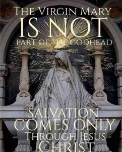 The Sower and the Virgin – Witnesses For The Prosecution